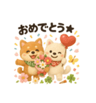 ふわふわ柴犬の春スタンプ（個別スタンプ：35）