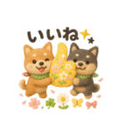ふわふわ柴犬の春スタンプ（個別スタンプ：37）