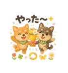ふわふわ柴犬の春スタンプ（個別スタンプ：40）