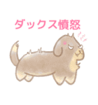 それゆけ！ゆるっとハムちゃんず（個別スタンプ：40）