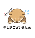 yukieのスタンプまめ柴ちゃん②（個別スタンプ：11）