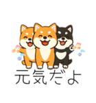 yukieのスタンプまめ柴ちゃん②（個別スタンプ：16）