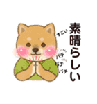 yukieのスタンプまめ柴ちゃん②（個別スタンプ：17）