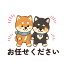 yukieのスタンプまめ柴ちゃん②（個別スタンプ：23）