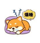 yukieのスタンプまめ柴ちゃん②（個別スタンプ：24）