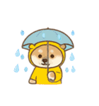 yukieのスタンプまめ柴ちゃん②（個別スタンプ：34）