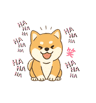yukieのスタンプまめ柴ちゃん②（個別スタンプ：39）