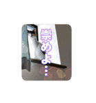 たつきちの首のあるネコチャン(実写) 2（個別スタンプ：30）