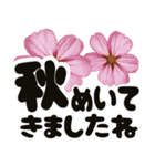 秋色のお花と飛び出す大きな文字（個別スタンプ：9）