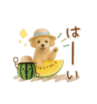 ▶動く癒しトイプードルの「夏」の毎日（個別スタンプ：1）