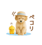 ▶動く癒しトイプードルの「夏」の毎日（個別スタンプ：3）