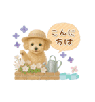 ▶動く癒しトイプードルの「夏」の毎日（個別スタンプ：6）