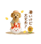 ▶動く癒しトイプードルの「夏」の毎日（個別スタンプ：10）