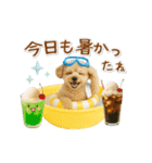 ▶動く癒しトイプードルの「夏」の毎日（個別スタンプ：15）