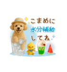 ▶動く癒しトイプードルの「夏」の毎日（個別スタンプ：19）