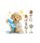 ▶動く癒しトイプードルの「夏」の毎日（個別スタンプ：20）