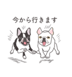 ぺち子とボス子のスタンプ（個別スタンプ：11）