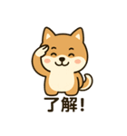 しばいぬのすたんぷです（個別スタンプ：5）