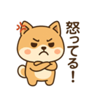 しばいぬのすたんぷです（個別スタンプ：11）