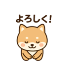 しばいぬのすたんぷです（個別スタンプ：14）