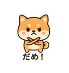 しばいぬのすたんぷです（個別スタンプ：16）