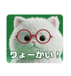 赤縁メガネ猫ちゃんスタンプ（個別スタンプ：1）