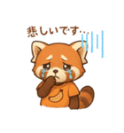 かわゆいレッサーパンダスタンプ（個別スタンプ：6）