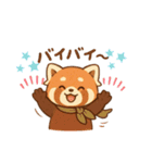かわゆいレッサーパンダスタンプ（個別スタンプ：31）