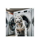 ホワイトタイガーの新日常1（個別スタンプ：14）