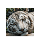 ホワイトタイガーの新日常1（個別スタンプ：26）