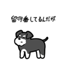 いつでも使えるシュナウザー（ソルペパ）（個別スタンプ：6）
