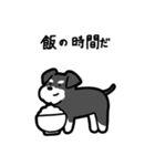 いつでも使えるシュナウザー（ソルペパ）（個別スタンプ：22）