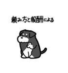 いつでも使えるシュナウザー（ソルペパ）（個別スタンプ：29）