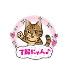 『雉虎』のスタンプ（個別スタンプ：1）