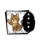 『雉虎』のスタンプ（個別スタンプ：2）
