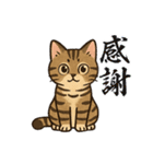 『雉虎』のスタンプ（個別スタンプ：7）