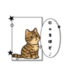 『雉虎』のスタンプ（個別スタンプ：10）