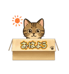 『雉虎』のスタンプ（個別スタンプ：12）