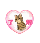 『雉虎』のスタンプ（個別スタンプ：16）