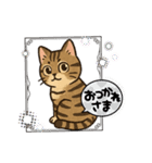 『雉虎』のスタンプ（個別スタンプ：19）