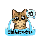 『雉虎』のスタンプ（個別スタンプ：20）