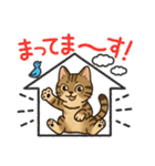 『雉虎』のスタンプ（個別スタンプ：25）