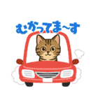 『雉虎』のスタンプ（個別スタンプ：26）