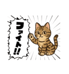 『雉虎』のスタンプ（個別スタンプ：28）