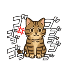 『雉虎』のスタンプ（個別スタンプ：29）