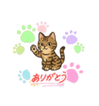 『雉虎』のスタンプ（個別スタンプ：30）
