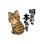 『雉虎』のスタンプ（個別スタンプ：32）
