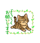 『雉虎』のスタンプ（個別スタンプ：33）
