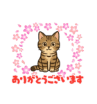 『雉虎』のスタンプ（個別スタンプ：35）