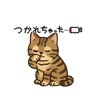 『雉虎』のスタンプ（個別スタンプ：36）
